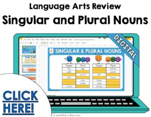 Google Slides - Review - Singular and Plural Nouns