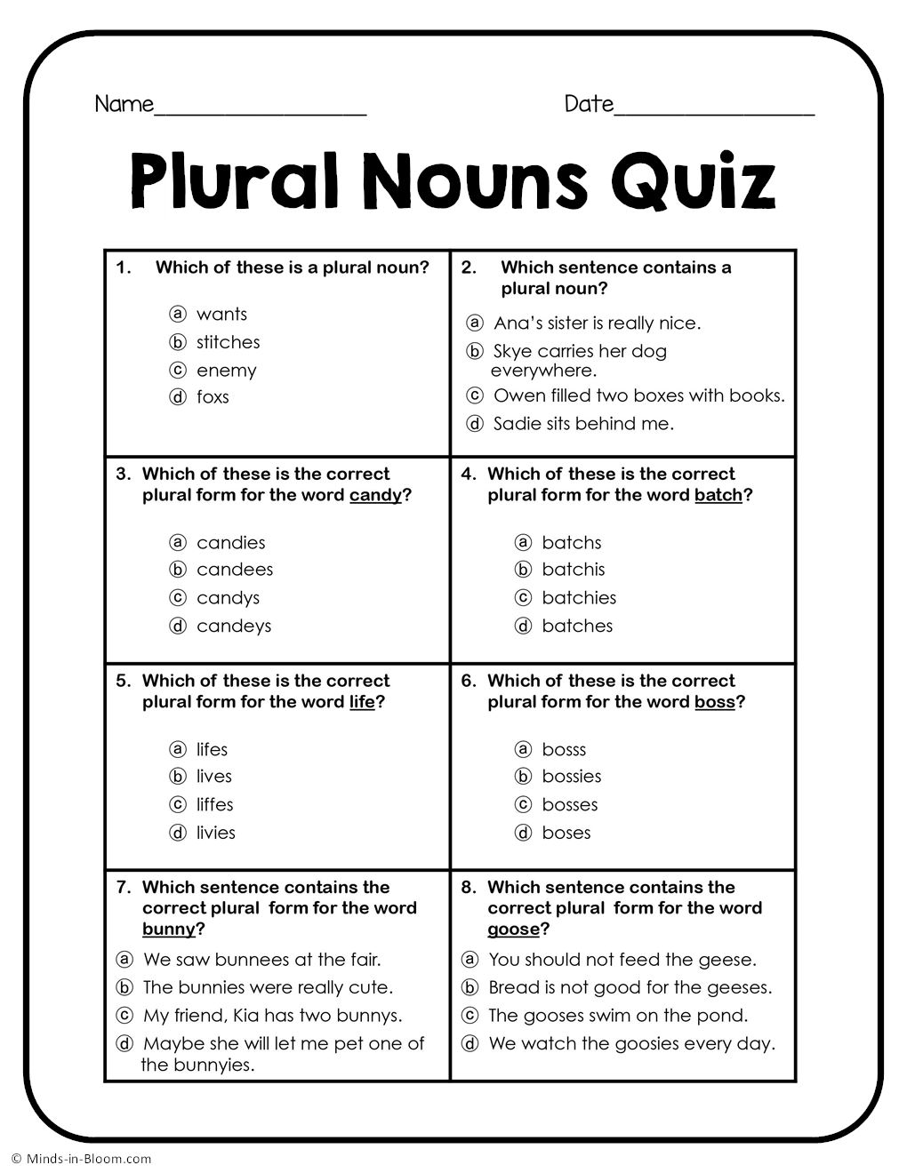 Plural Nouns Quick Check Quiz Minds in Bloom Unlimited