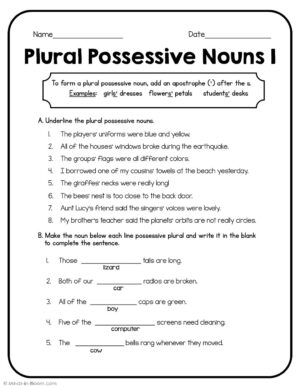 Plural Possessive Nouns 1