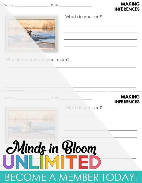 Picture Inferences - SET 1 - COLOR - Minds in Bloom Unlimited